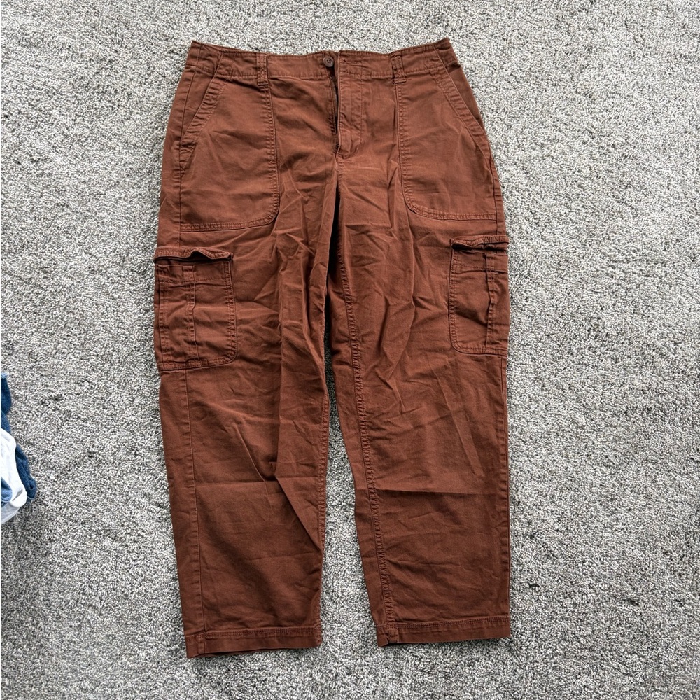 Terra Cotta Cargo Chino Pants